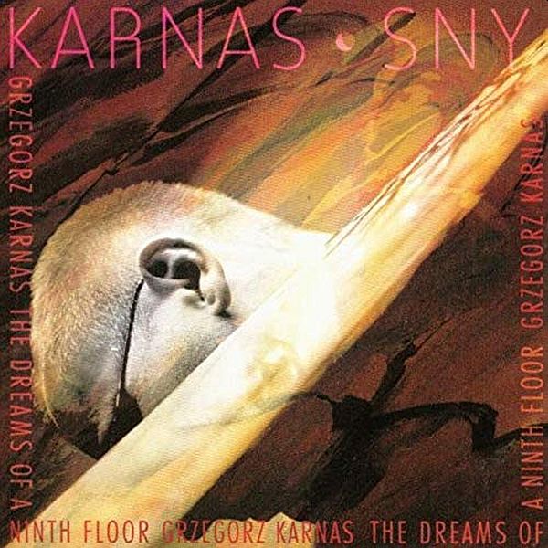 https://www.discogs.com/release/14693384-Grzegorz-Karnas-The-Dreams-Of-A-Ninth-Floor/image/SW1hZ2U6NDQxMTA3NzY=